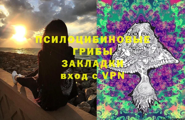 дживик Новокубанск