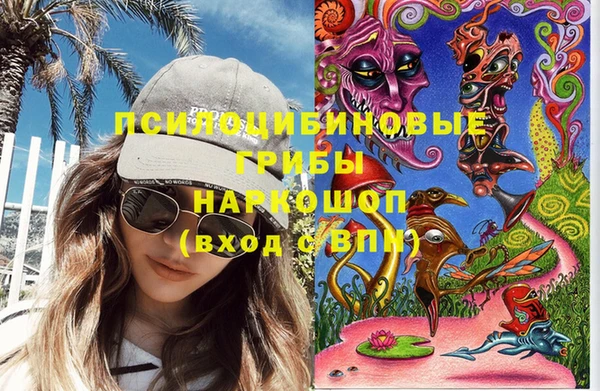 Альфа ПВП Новозыбков