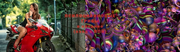 мяу мяу мука Няндома