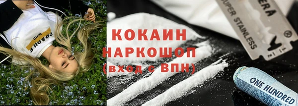 Альфа ПВП Новозыбков