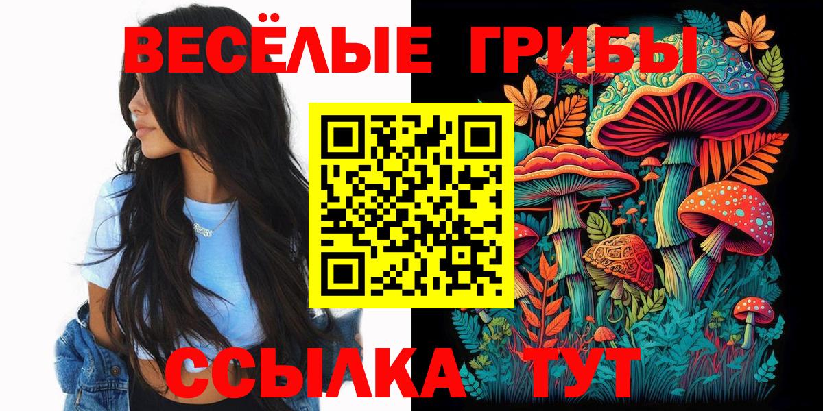 Псилоцибиновые грибы Psilocybine cubensis  Вход с VPN  Ухта 